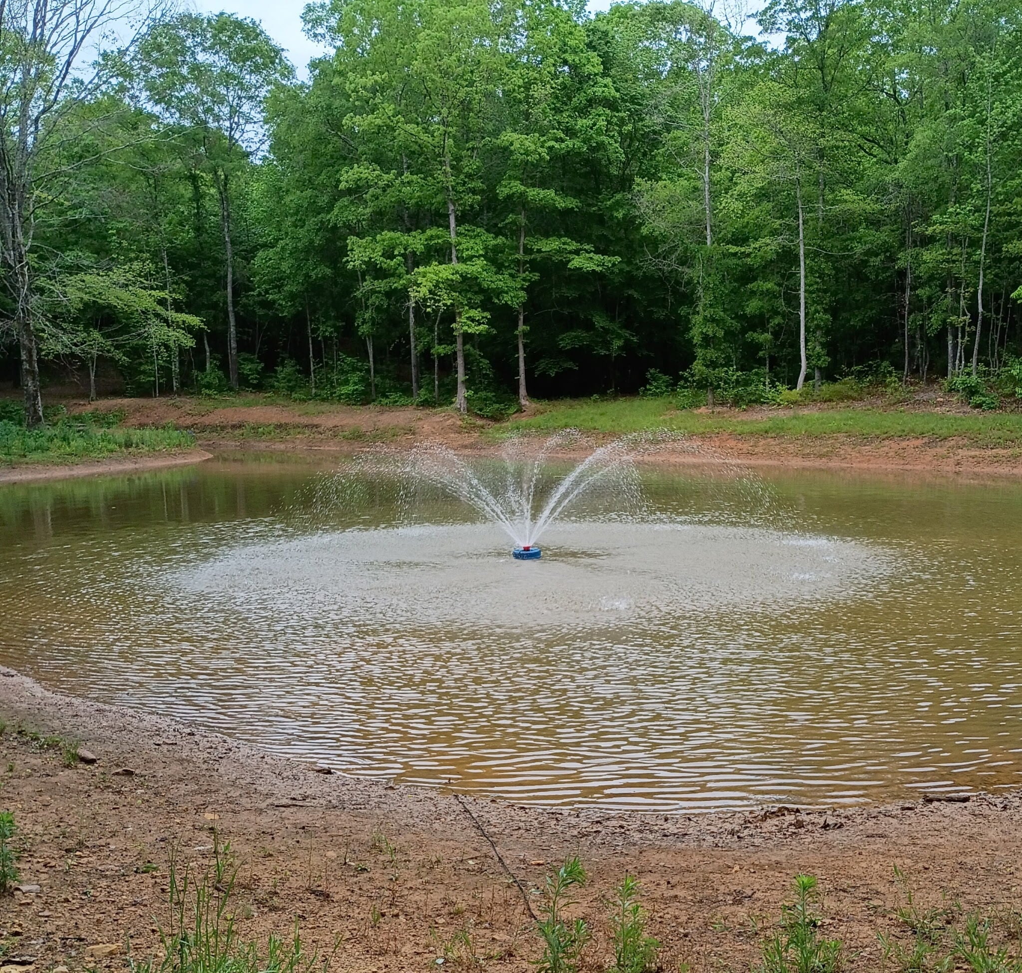 A small pond with muddy banks features a fountain spraying water in the center, surrounded by dense green trees under a cloudy sky.